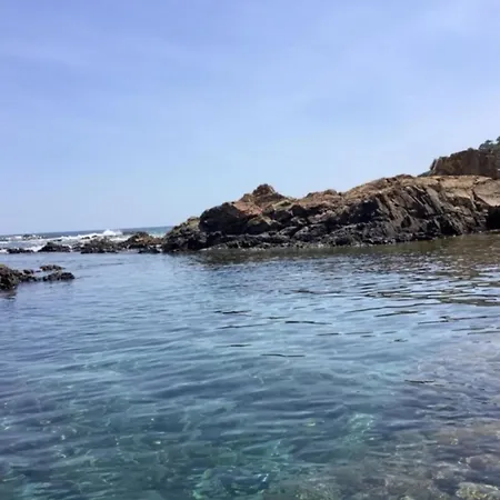 Secret Creek 종자