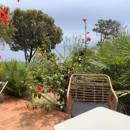 Secret Creek Lägenhet Zonza