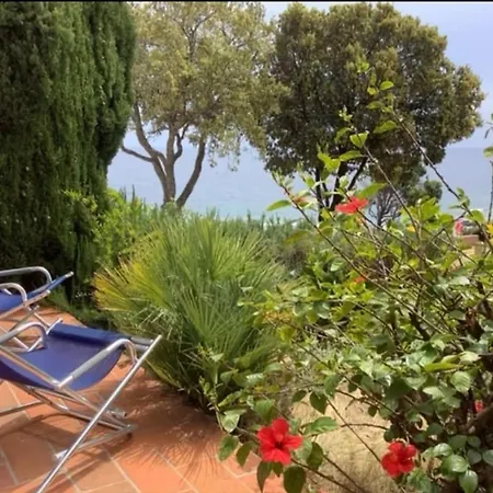 Secret Creek Lägenhet