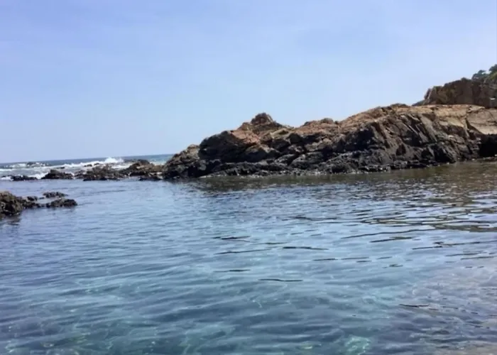 Secret Creek ゾンザ