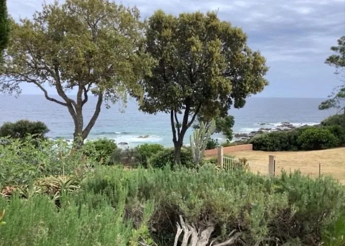 Secret Creek ゾンザ