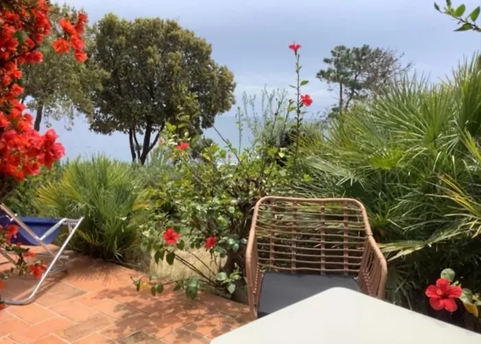 Secret Creek アパート ゾンザ