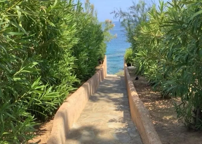 Secret Creek アパート ゾンザ